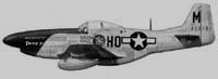   װ P-51D ӽ